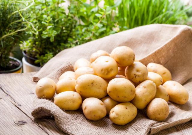 Купить картофель в Брянске